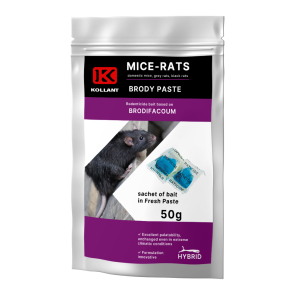 No Rat (135g) – Non Poisonouse Glue For Rats